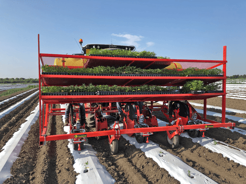 Semis - Planteuses - Planteuse repiqueuse