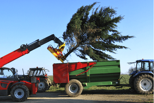 Matériel forestier - Grappin forestier - Grappin XYLOCUT - XYLOGRIP