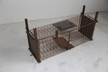 Lutte anti-nuisibles - Pièges - Piège à nuisibles