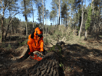 Equipement et protection individuelle - Habillement - Pantalon AUTHENTIC gris/orange