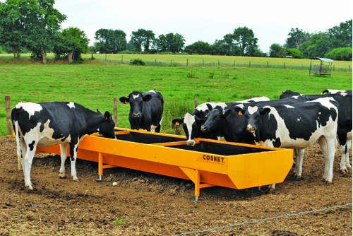 Matériel d'élevage - Auges - Auges peintes renforcées