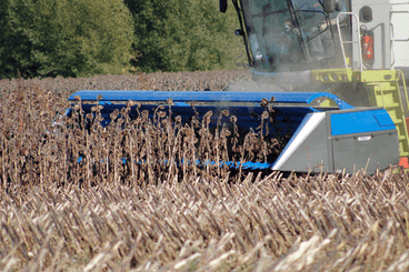 Récolte - Autre matériel de récolte - Barre de coupe POGET