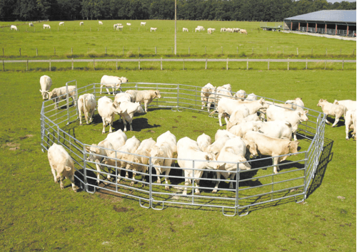 Matériel d'élevage - Cage, parc et couloir de contention - Panel de contention JOURDAIN