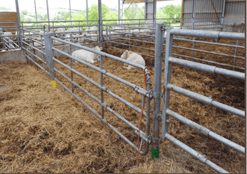 Matériel d'élevage - Barrière herbage - Barrière 5 lisses