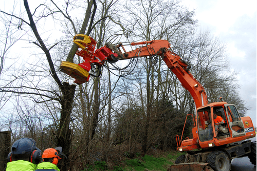 Matériel forestier - Grappin forestier - Grappin XYLOCUT - XYLOGRIP