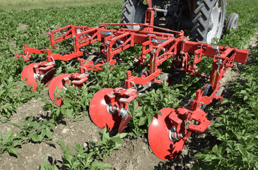 Entretien - Bineuses - Bineuse butteuse HILLSTAR