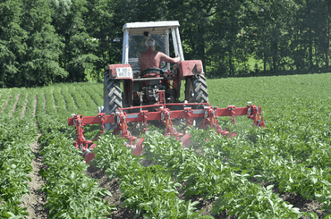 Entretien - Bineuses - Bineuse butteuse HILLSTAR