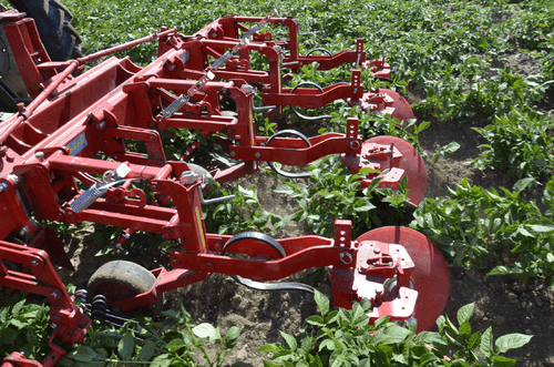 Entretien - Bineuses - Bineuse butteuse HILLSTAR