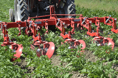 Entretien - Bineuses - Bineuse butteuse HILLSTAR