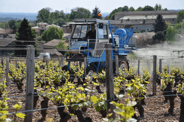 Pulvérisation - Pulvérisateurs vigne - Poudreuse portée VEGA