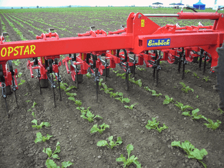 Entretien - Bineuses - Bineuse CHOPSTAR