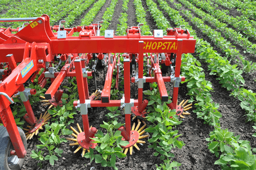 Entretien - Bineuses - Bineuse CHOPSTAR