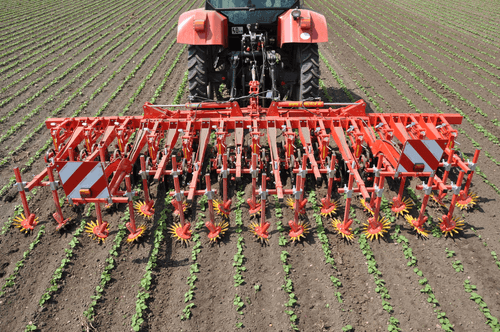 Entretien - Bineuses - Bineuse CHOPSTAR