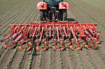 Entretien - Bineuses - Bineuse CHOPSTAR