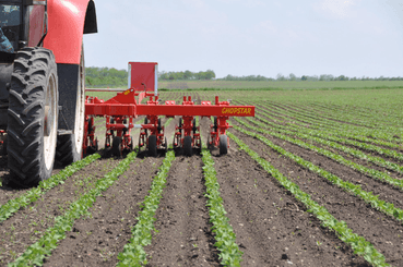 Entretien - Bineuses - Bineuse CHOPSTAR