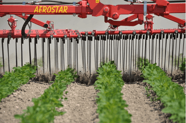 Entretien - Herse étrille - Herse étrille AEROSTAR FUSION