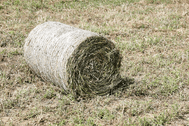 Récolte - Presses balles rondes - Presse mini round ballers