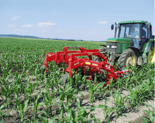 Entretien - Bineuses - Bineuse à doigts ROLLSTAR