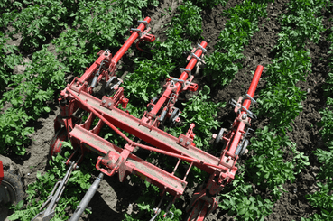 Entretien - Bineuses - Bineuse à doigts ROLLSTAR