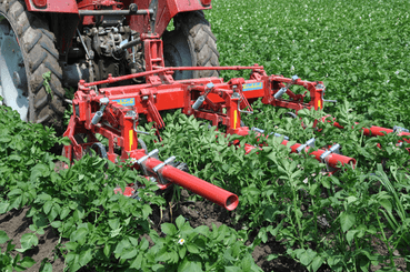 Entretien - Bineuses - Bineuse à doigts ROLLSTAR