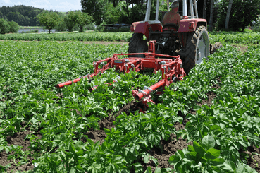 Entretien - Bineuses - Bineuse à doigts ROLLSTAR
