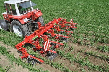 Entretien - Bineuses - Bineuse à doigts ROLLSTAR