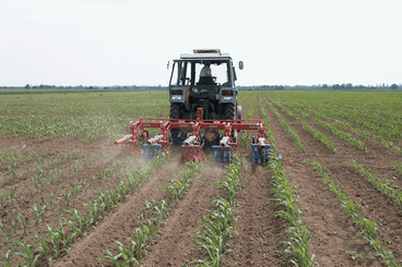 Entretien - Bineuses - Bineuse à doigts ROLLSTAR