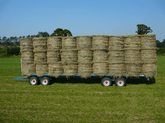Transport - Plateaux fourrager - Plateau fourrager semi porté, trainé