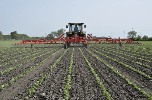 Entretien - Herse étrille - Herse étrille AEROSTAR FUSION