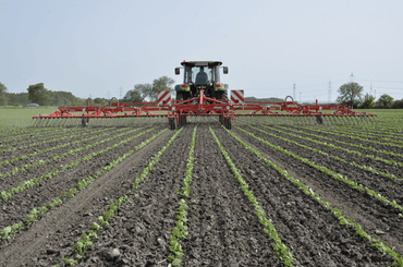 Entretien - Herse étrille - Herse étrille AEROSTAR FUSION