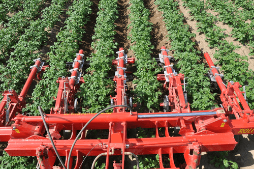 Entretien - Bineuses - Bineuse à doigts ROLLSTAR