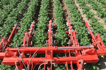 Entretien - Bineuses - Bineuse à doigts ROLLSTAR