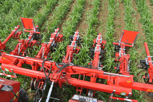 Entretien - Bineuses - Bineuse à doigts ROLLSTAR