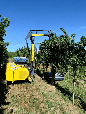 Entretien - Epareuses - Epareuse agricole  série Country Line
