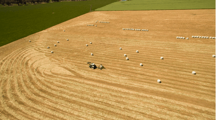 Récolte - Enrubanneuses - Enrubanneuse 1400 V