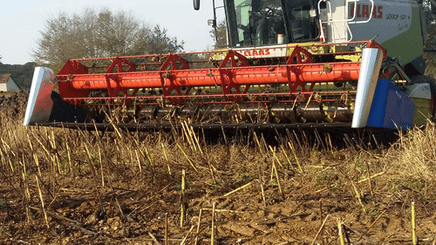 Récolte - Autre matériel de récolte - Barre de coupe POGET
