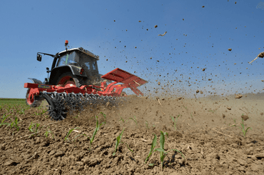 Entretien - Houe rotative - Ecrouteuse ROTARYSTAR