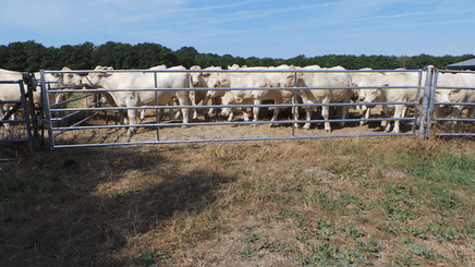 Matériel d'élevage - Barrière herbage - Barrière d'herbage