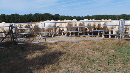 Matériel d'élevage - Barrière herbage - Barrière d'herbage