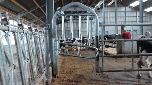 Matériel d'élevage - Barrière herbage - Barrière  4 lisses