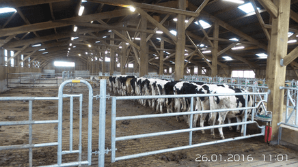 Matériel d'élevage - Barrière herbage - Barrière  4 lisses