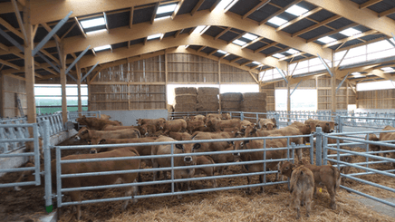 Matériel d'élevage - Barrière herbage - Barrière 5 lisses