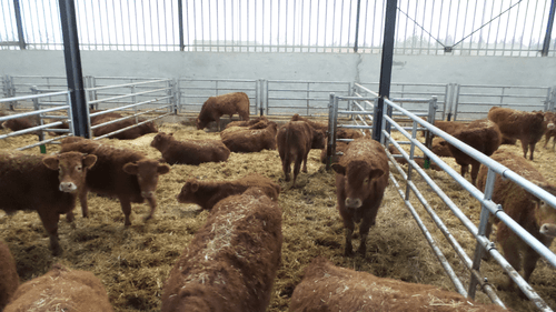 Matériel d'élevage - Barrière herbage - Barrière 5 lisses