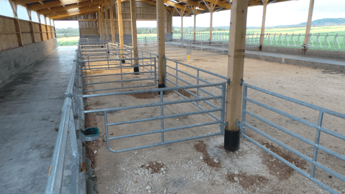 Matériel d'élevage - Barrière herbage - Barrière 5 lisses