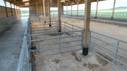 Matériel d'élevage - Barrière herbage - Barrière 5 lisses