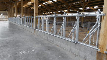 Matériel d'élevage - Cornadis - Cornadis réglage collectif