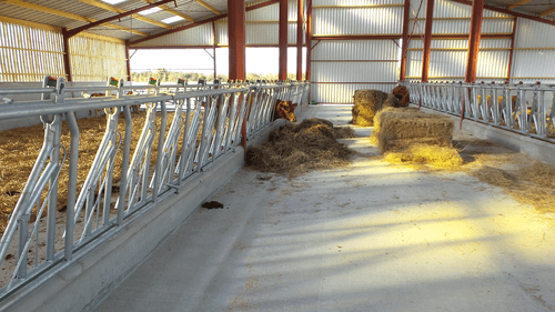 Matériel d'élevage - Cornadis - Cornadis réglage collectif