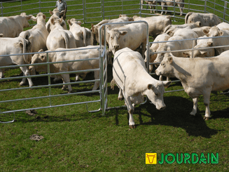Matériel d'élevage - Cage, parc et couloir de contention - Panel de contention JOURDAIN