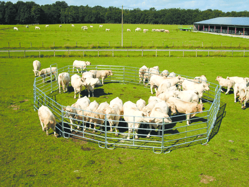 Matériel d'élevage - Cage, parc et couloir de contention - Panel de contention JOURDAIN