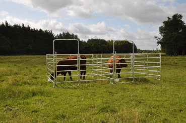 Matériel d'élevage - Cage, parc et couloir de contention - Panel de contention JOURDAIN
